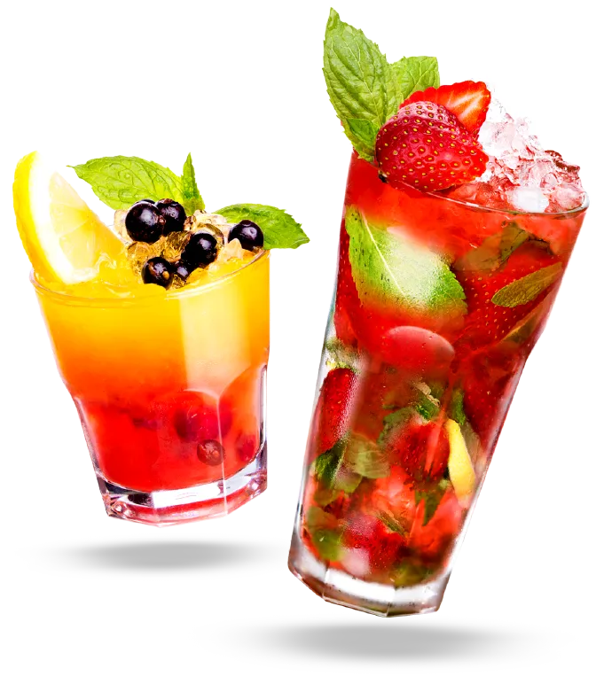 Marimbula 4 FSIPL About Marimbula Page 11