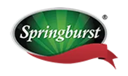 Home-2 35 SPRINGBURST LOGO PNG 05
