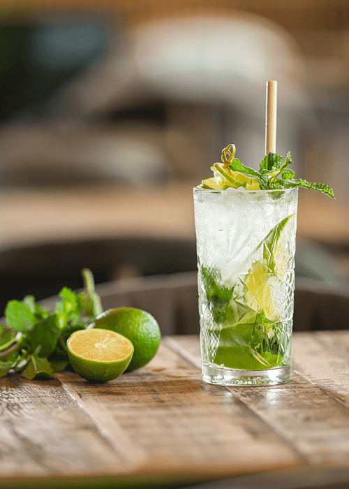 VIRGIN MOJITO 500X700