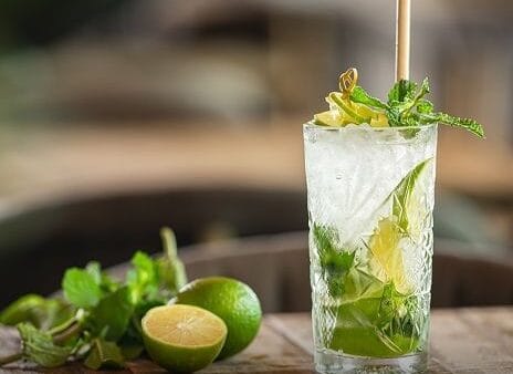 VIRGIN MOJITO feature