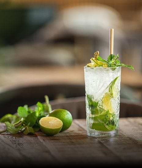 VIRGIN MOJITO feature