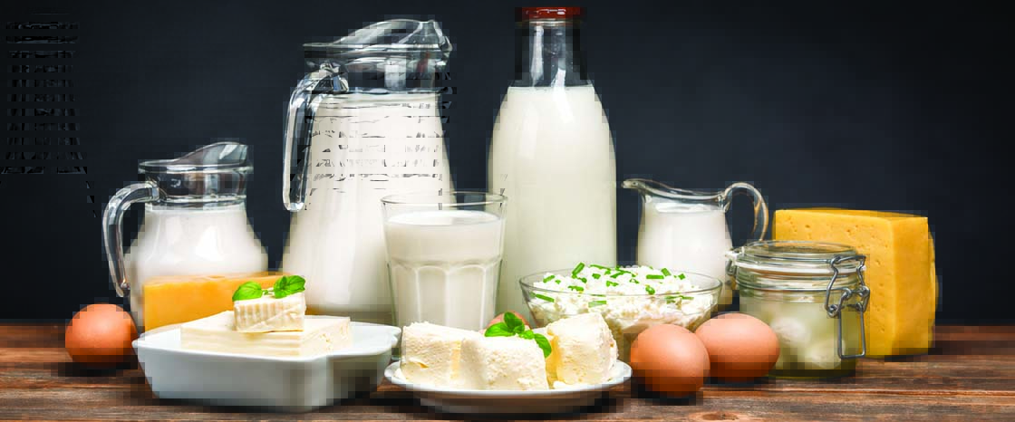 What to Serve, Stock and Sell: The Ultimate Navratri Fasting Food Guide 7 Dairy Products