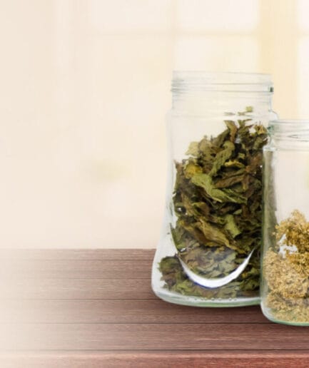 Herbs, Dips & Sprinklers